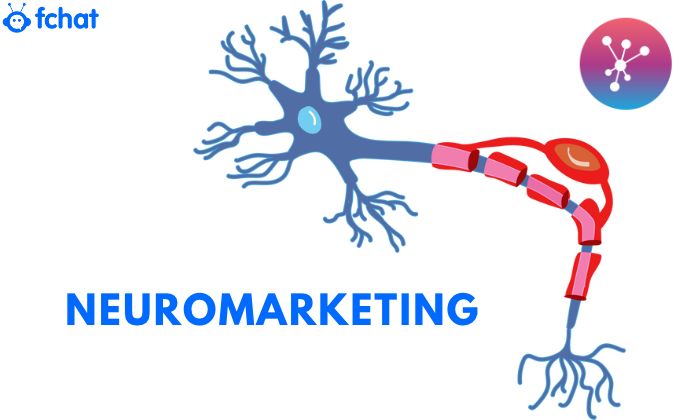 Neuromarketing là gì? Xu hướng Marketing mới trong thị trường cạnh tranh