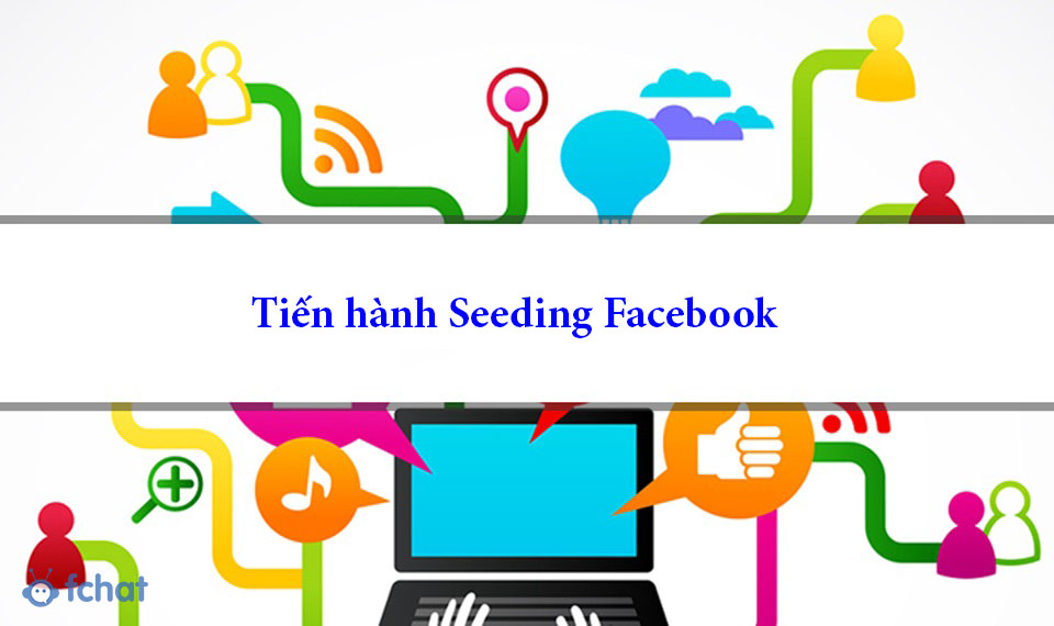Seeding Facebook la gi