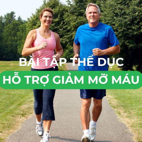 Bài Tập Thể Dục Hỗ Trợ Giảm Mỡ Máu Hiệu Quả