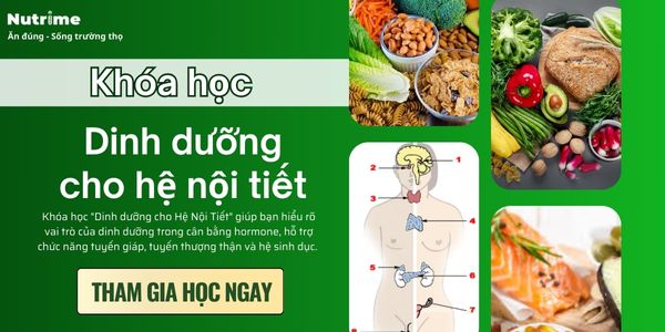 DINH DƯỠNG CHO HỆ NỘI TIẾT