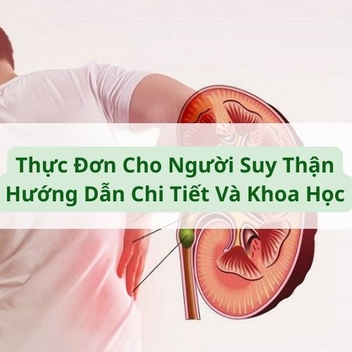 Thực Đơn Cho Người Suy Thận - Hướng Dẫn Chi Tiết Và Khoa Học