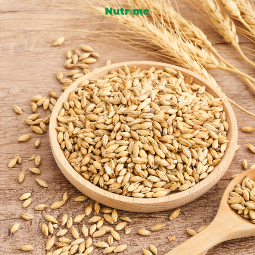 ngu-coc-cho-nguoi-tieu-duong-hat-ke-2.png?v=1