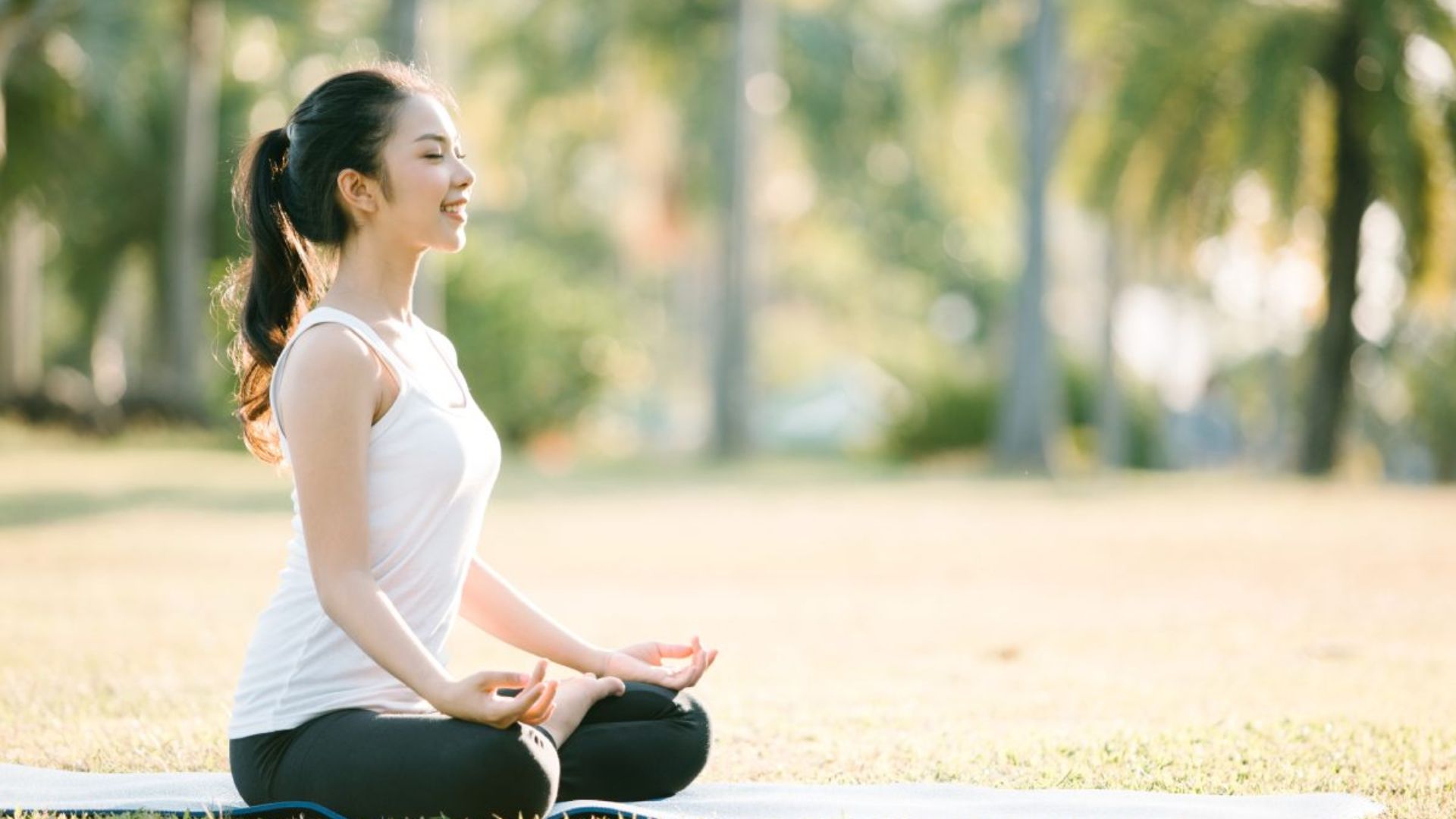 song-lanh-manh.jpg?v=1