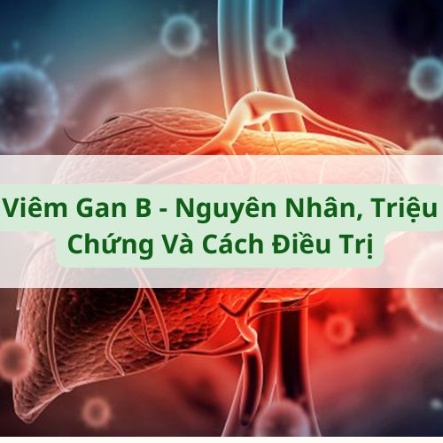 Viêm Gan B - Nguyên Nhân, Triệu Chứng Và Cách Điều Trị