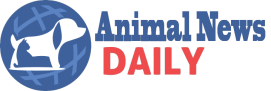 Stay informed on the latest news and stories about animals worldwide with Animal News 24. From wildl