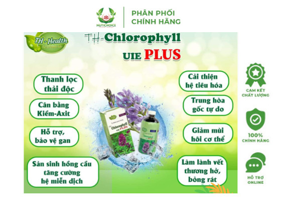 Thực phẩm bảo vệ sức khỏe TH-Chlorophyll UIE PLUS