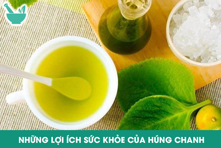  Những lợi ích sức khỏe của húng chanh