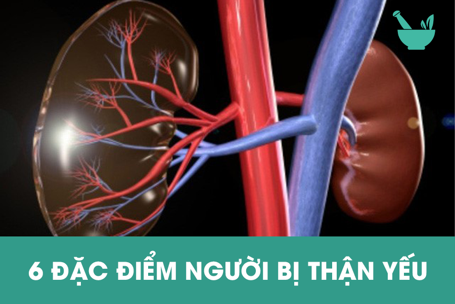 6 Đặc điểm người bị thận yếu