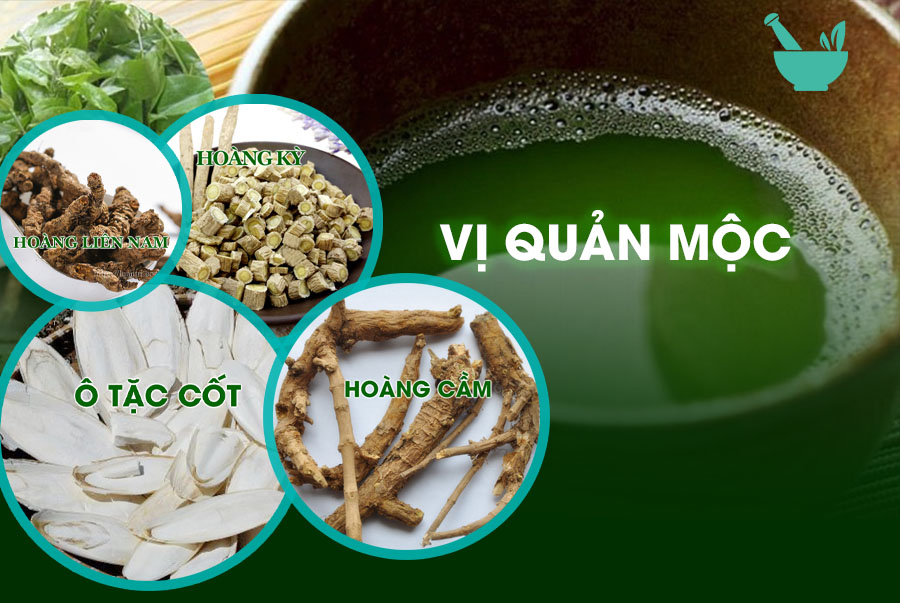  Bài thuốc Đông Y VỊ QUẢN MỘC