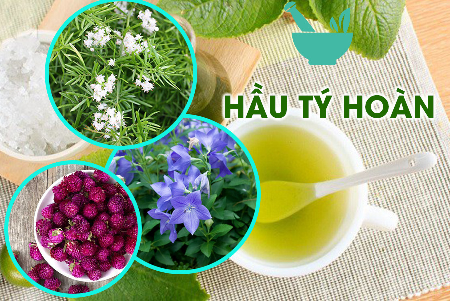  Bài thuốc Đông Y HẦU TÝ HOÀN