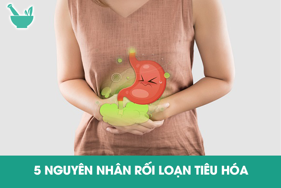 5 NGUYÊN NHÂN RỐI LOẠN TIÊU HÓA