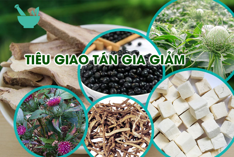  Bài thuốc Đông Y TIÊU GIAO TÁN GIA GIẢM THẦY MỘC