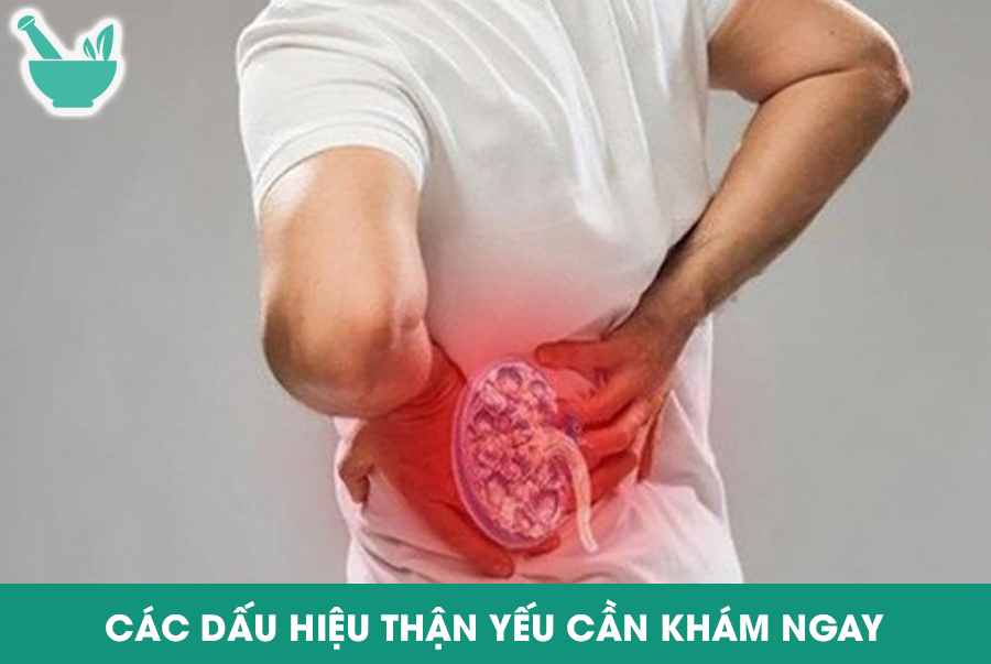 CÁC DẤU HIỆU THẬN YẾU CẦN KHÁM NGAY