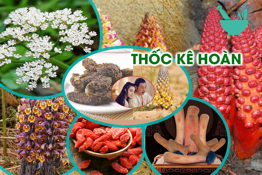  Bài thuốc Đông Y Thốc Kê Hoàn