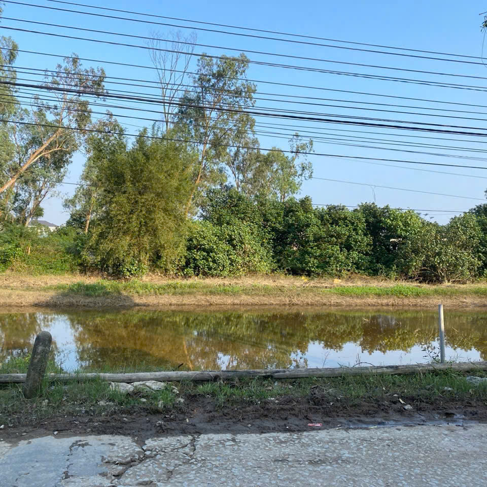 Mặt bằng kinh doanh115m vuông, ngang 8mTriều Thủy, Phú An, Phú vang 2 tỷ 170 triệu