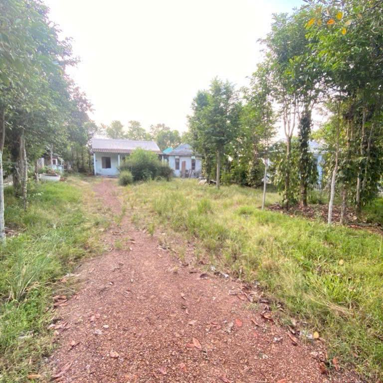 Bán đất 338m vuông Mặt tiền Nguyễn Viết xuân, Thủy phương, hương thủy, Thành phố Huế chỉ 2 tỉ