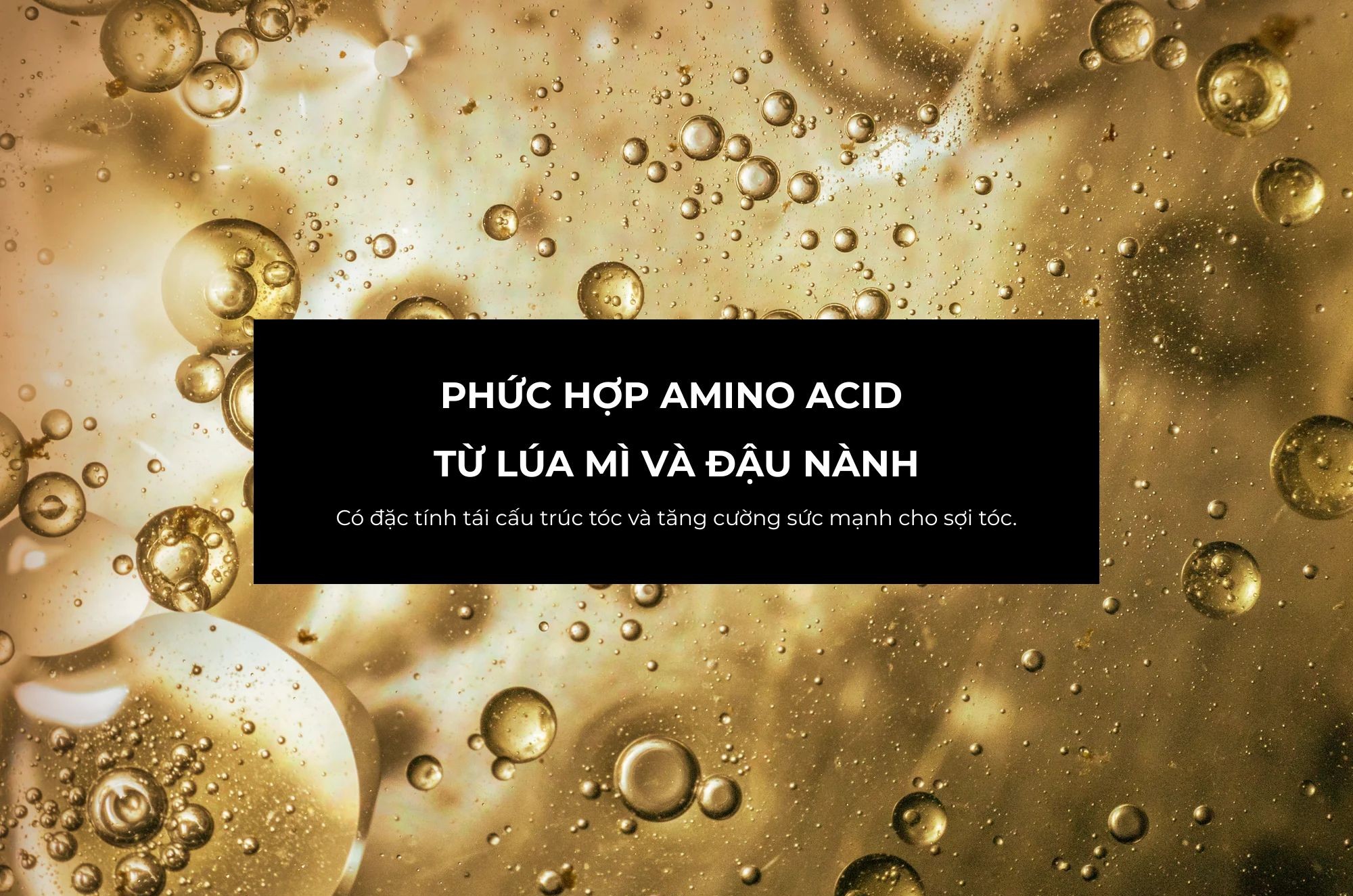 Link-D số 4 BOND SEALER - Kem xả khô tái tạo, bảo vệ và phục hồi tóc