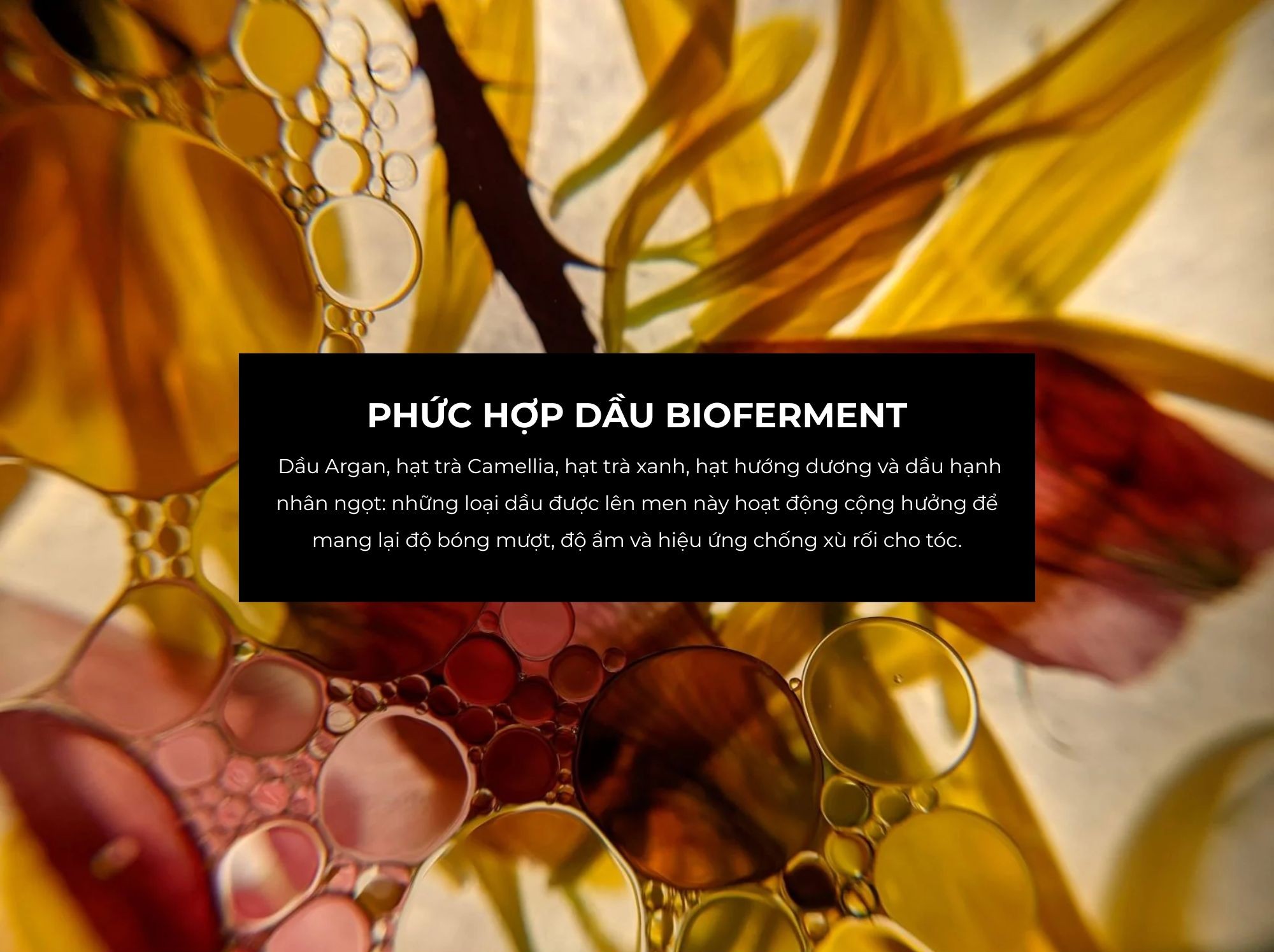 Tinh dầu dưỡng tóc thuần chay Link-D số 5