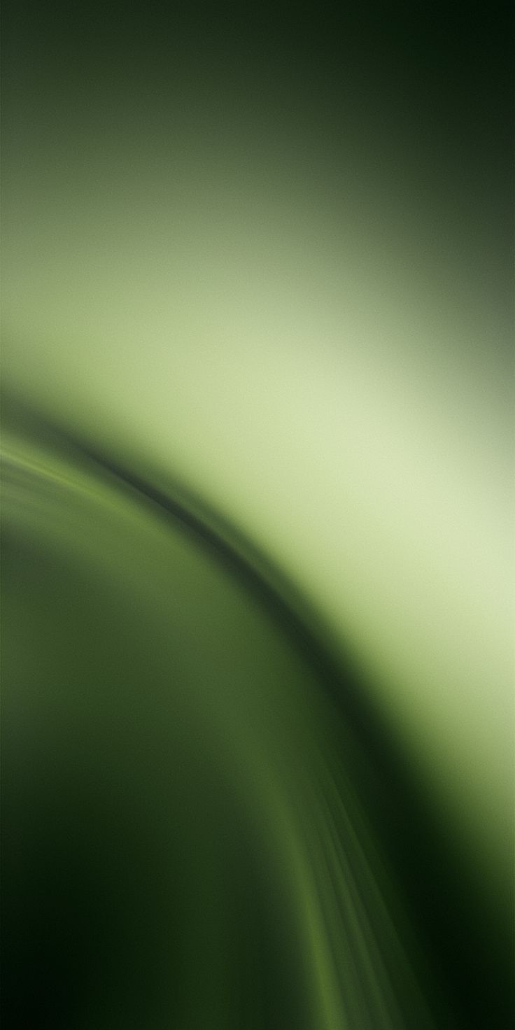 Vegan / Thuần Chay