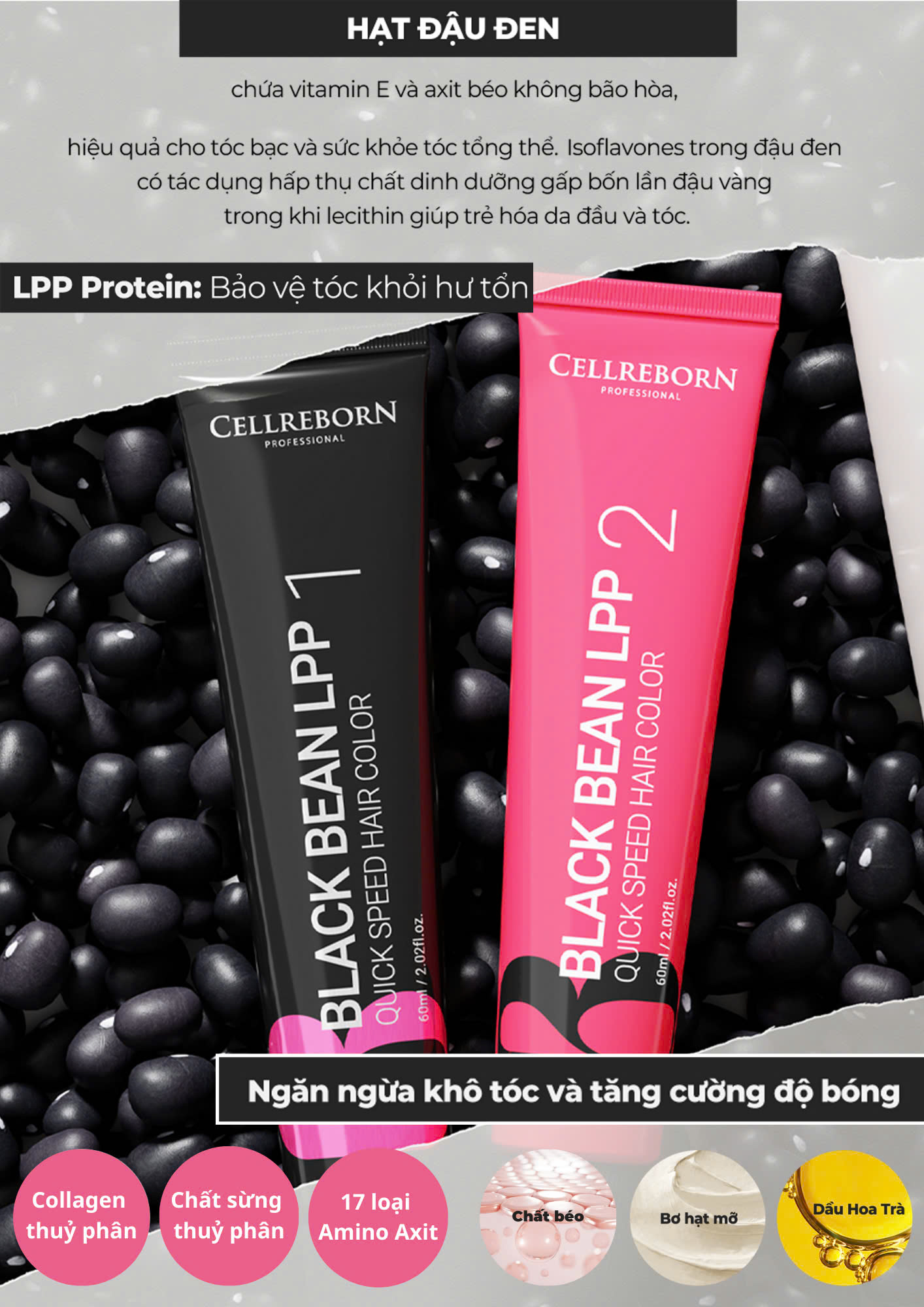 Thành phần của Cellreborn Blackbean