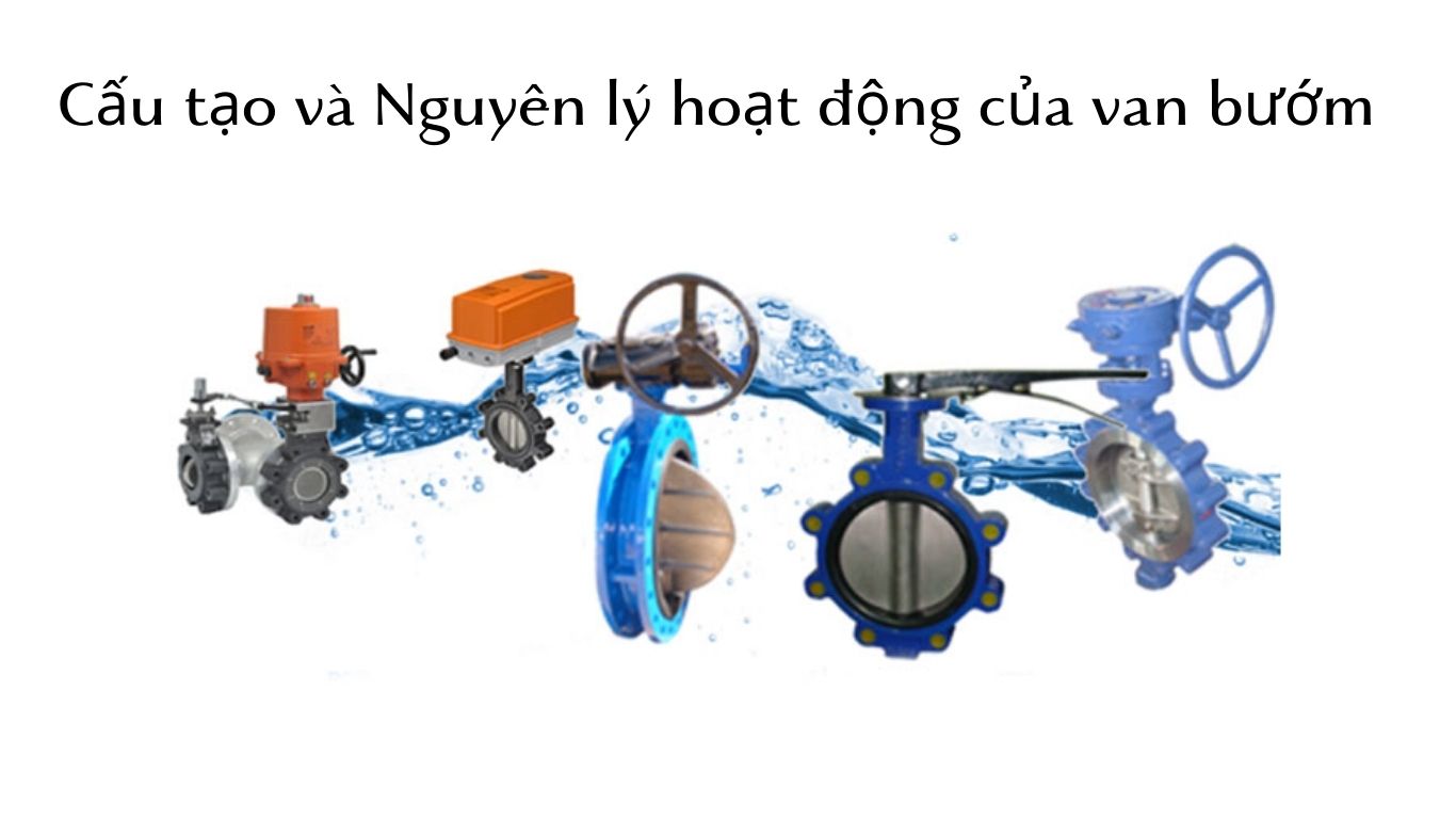 cau-tao-va-nguyen-ly-hoat-dong-cua-van-buom