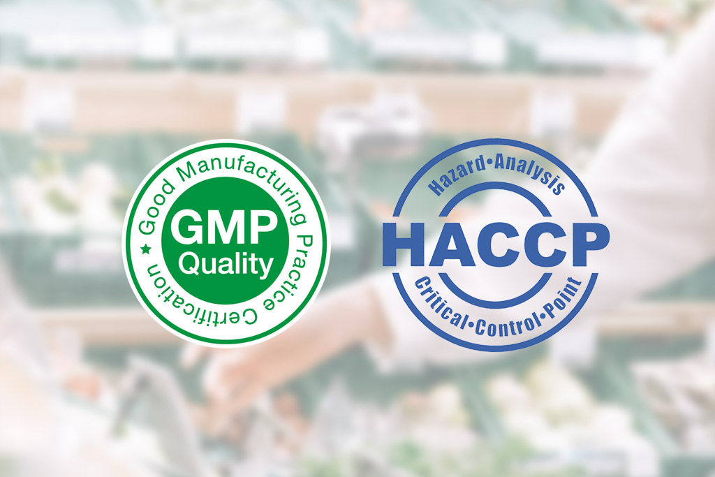 KHÓA HỌC ÁP DỤNG HACCP &GMP TRONG SẢN XUẤT THỰC PHẨM