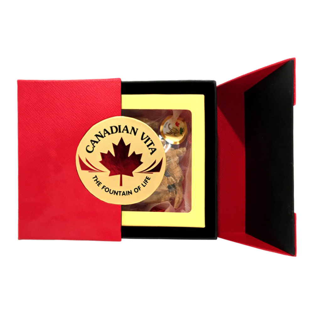 Nhân Sâm Củ Khô Canadian Vita 100g – Ginseng Roots (kèm túi)