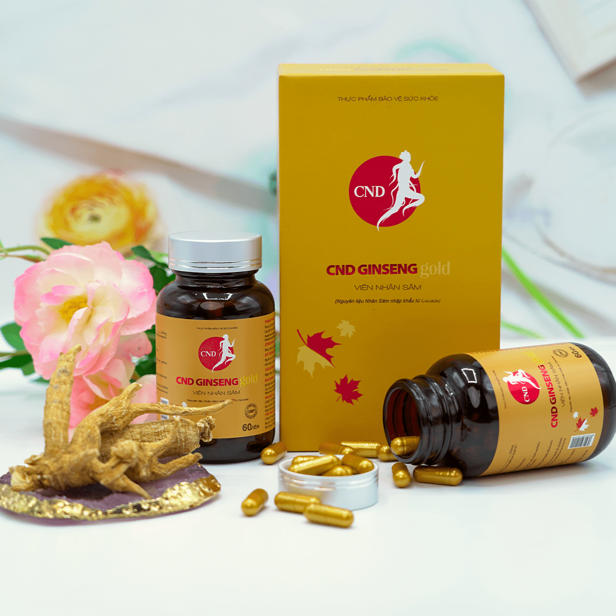 Viên nhân sâm CND GINSENG Gold