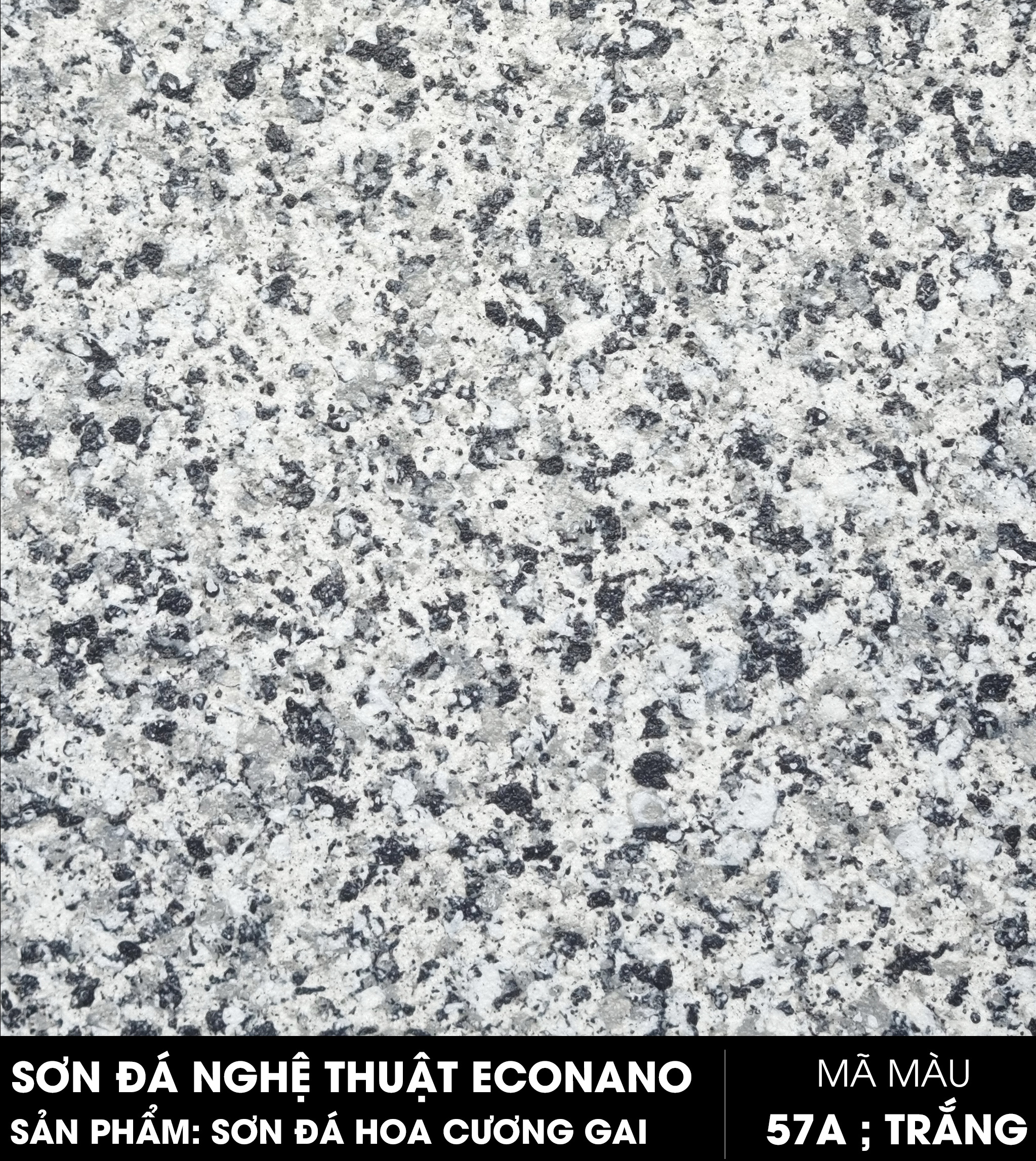 SƠN GIẢ VÂN ĐÁ NGHỆ THUẬT (ECONANO)