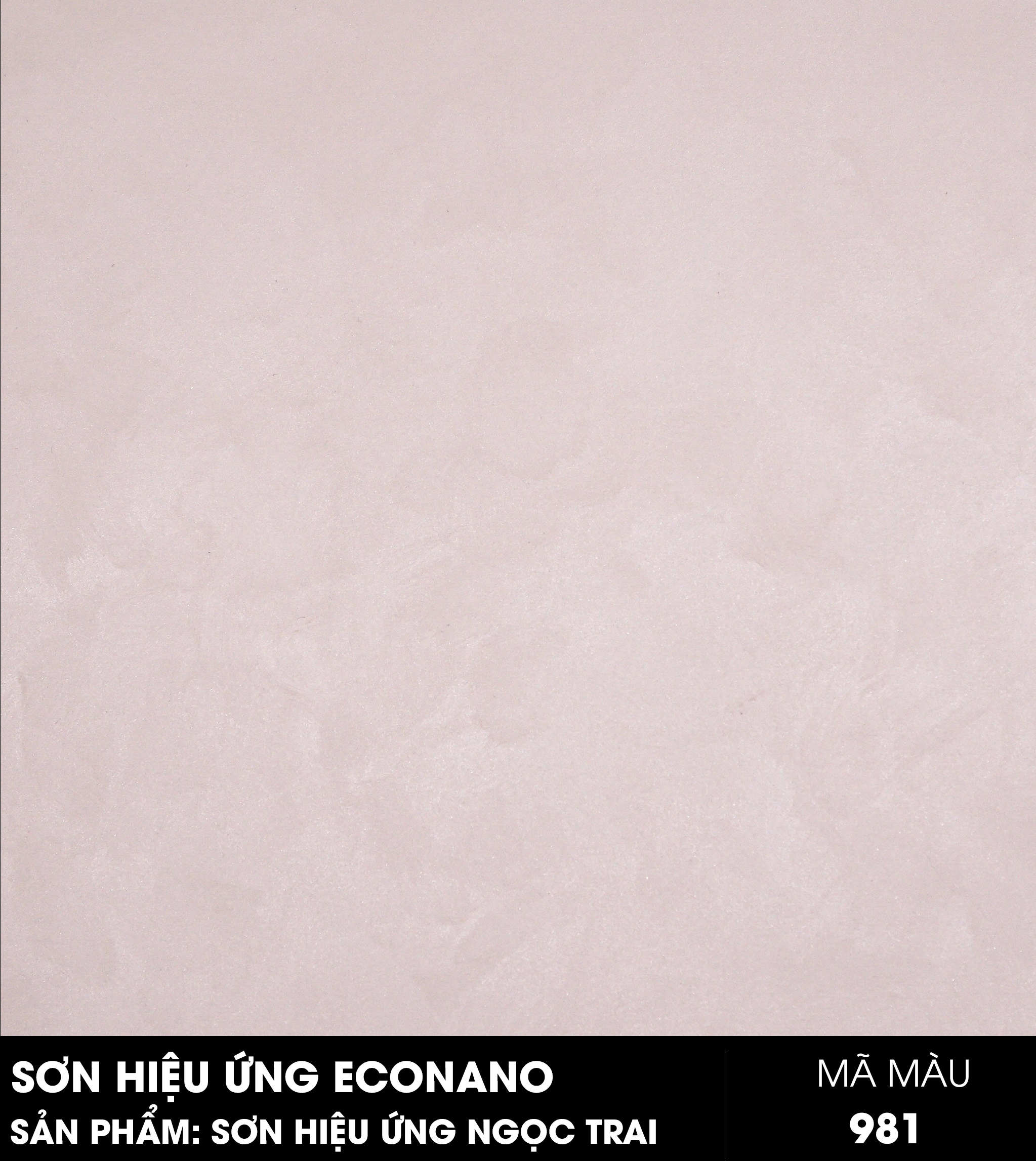 SƠN HIỆU ỨNG NGỌC TRAI - MÃ MÀU NT981
