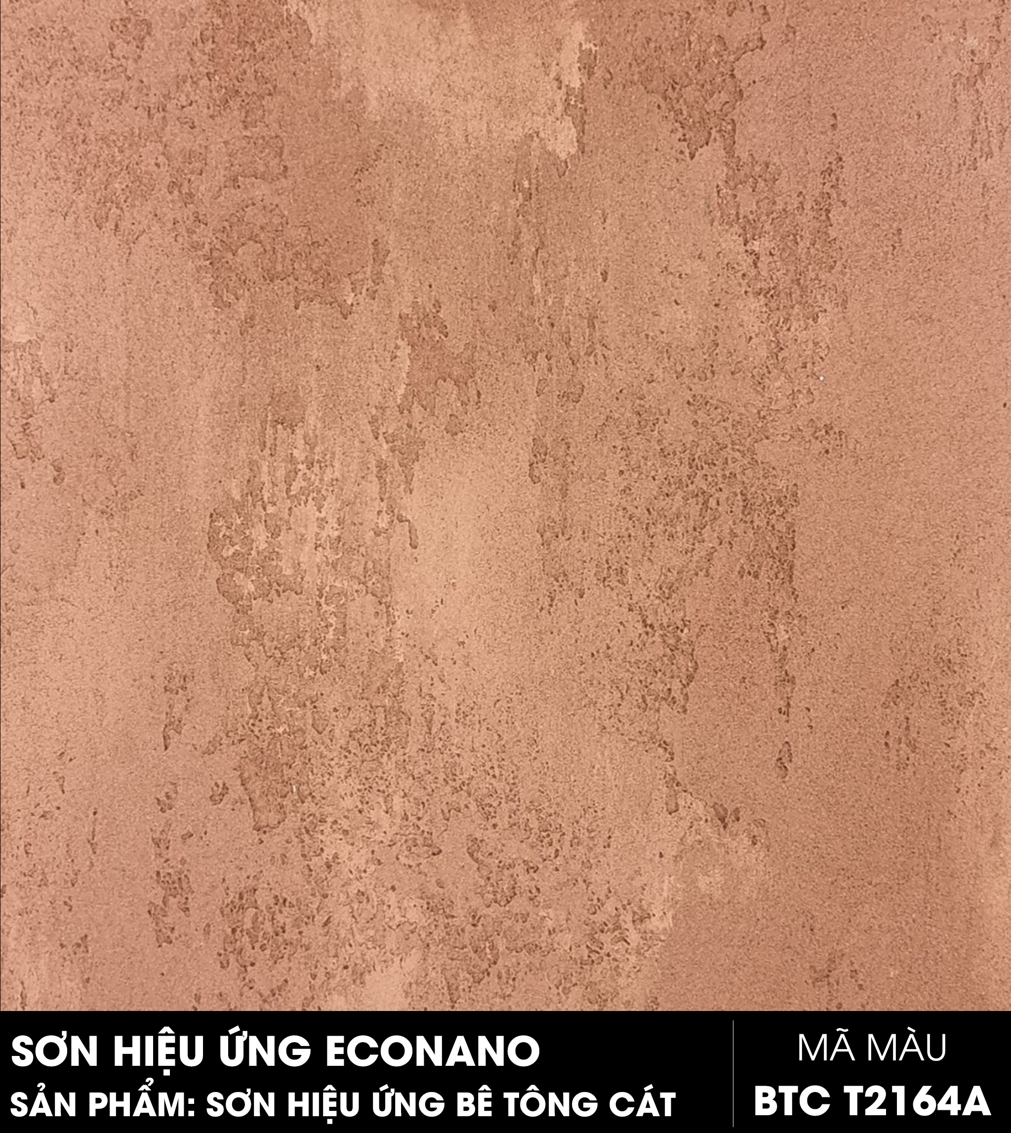 SƠN HIỆU ỨNG BÊ TÔNG CÁT - MÃ MÀU BTC T2164A