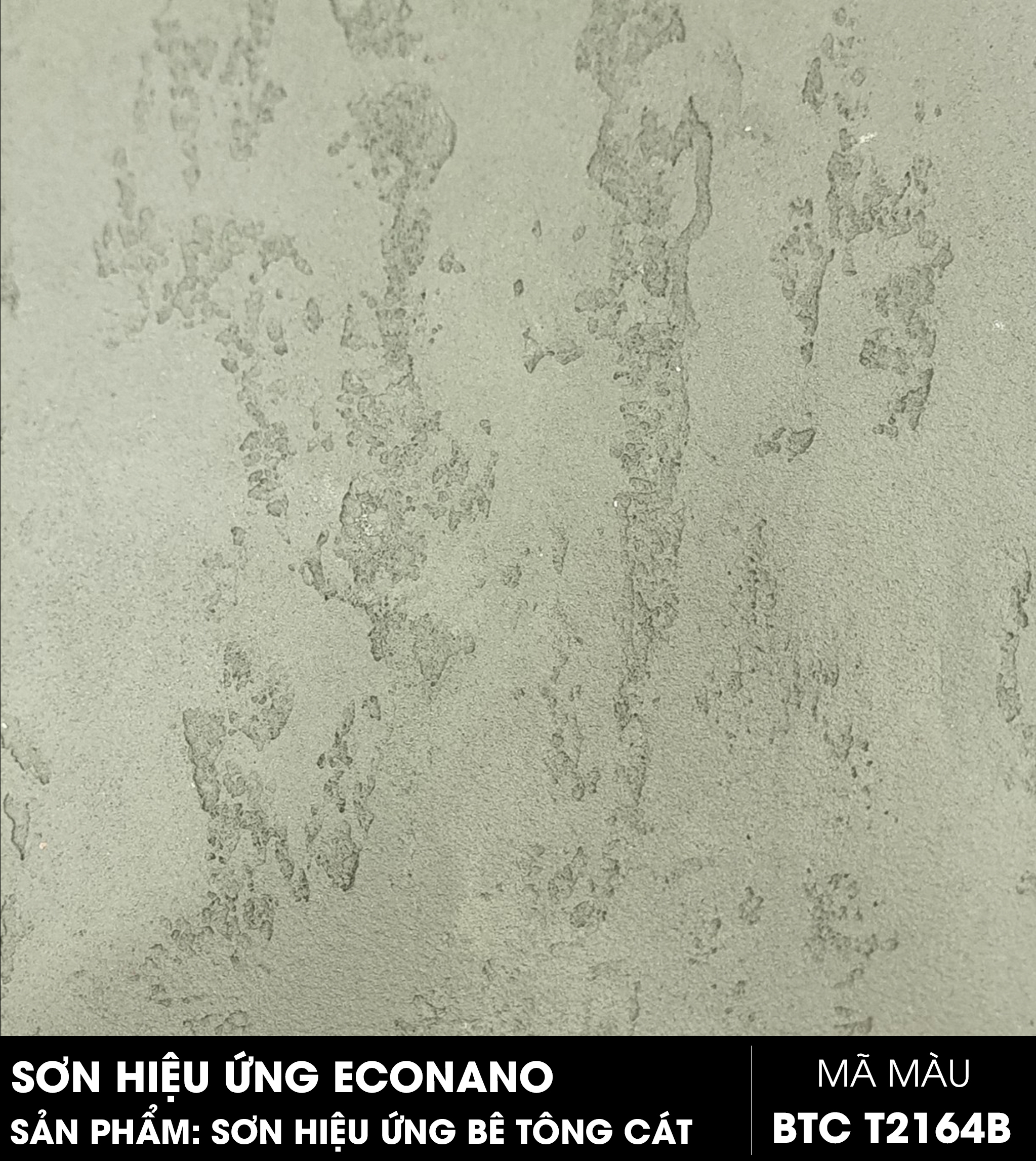 SƠN HIỆU ỨNG BÊ TÔNG CÁT - MÃ MÀU BTC T2164B