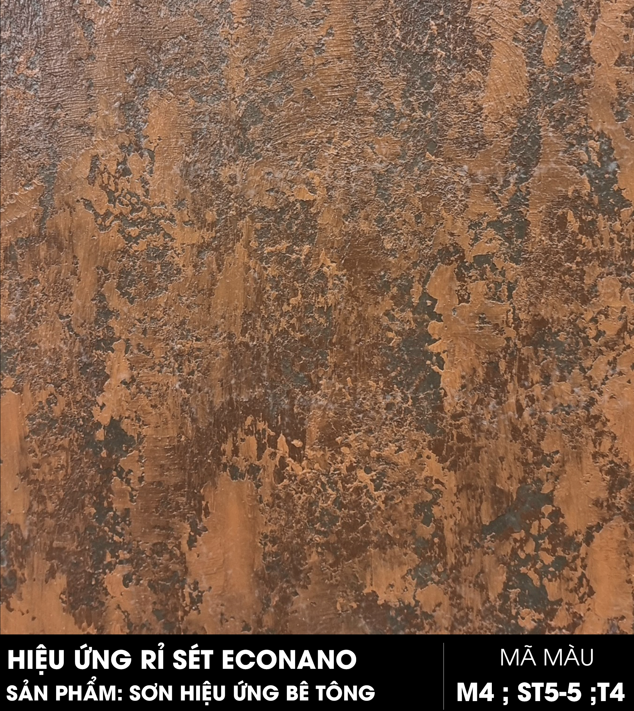 econano-m4-st5-5-t4.jpg?v=1