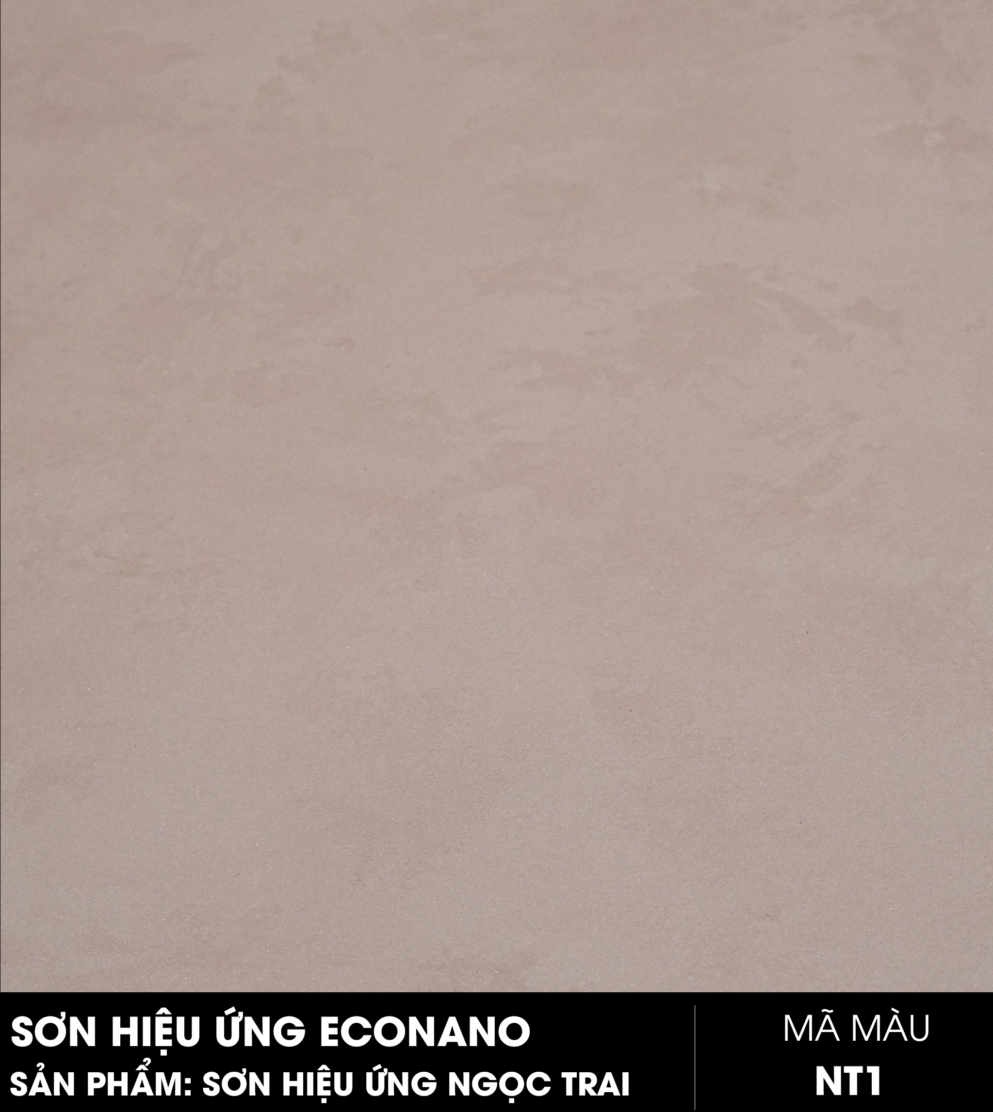 SƠN HIỆU ỨNG NGỌC TRAI - MÃ MÀU NT1