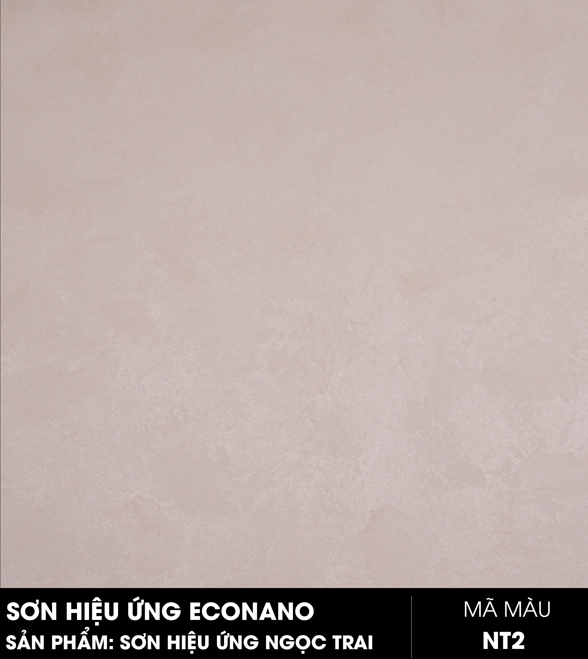 SƠN HIỆU ỨNG NGỌC TRAI - MÃ MÀU NT02