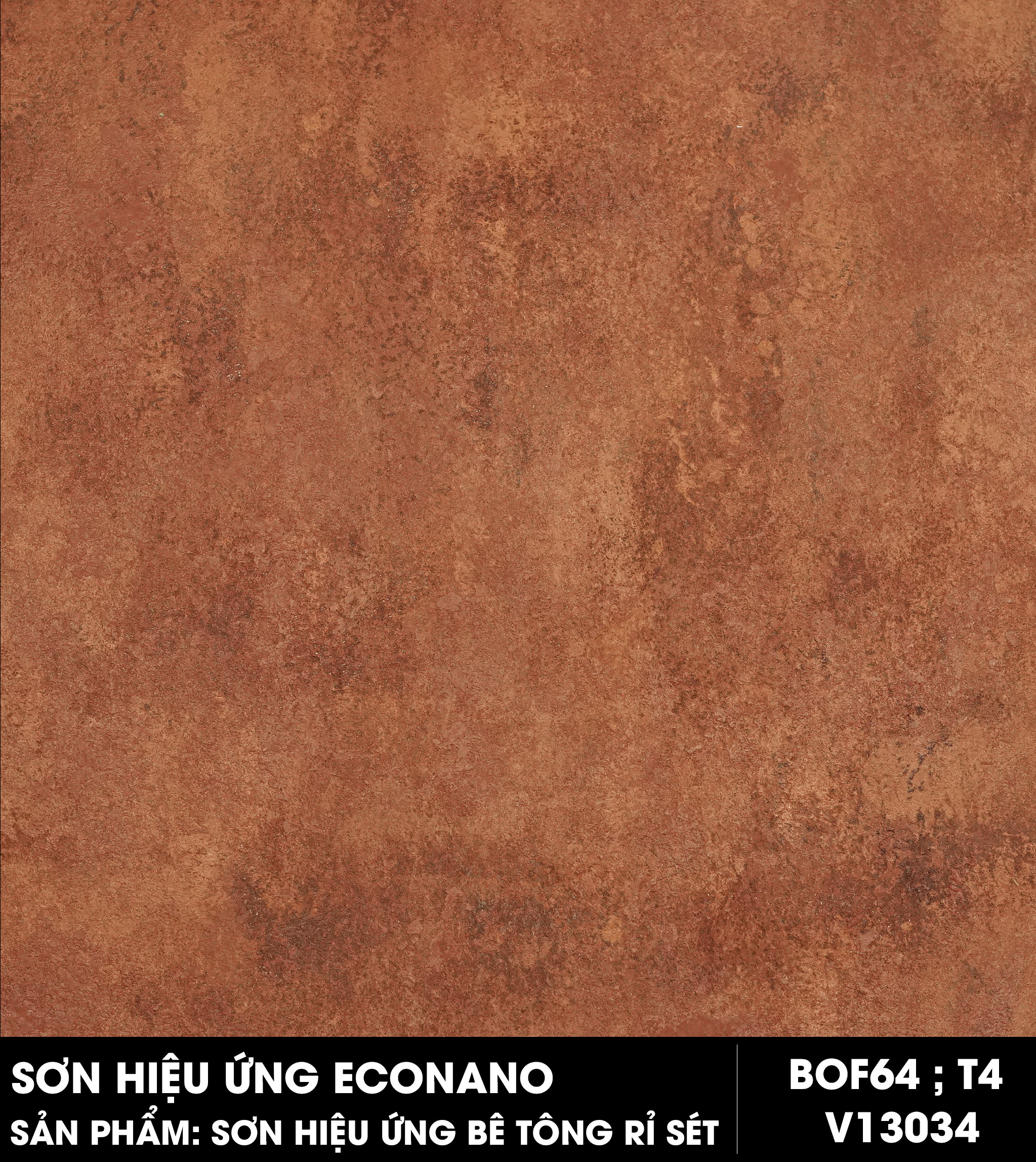 econano-ri-set-bof64-t4-v13034.jpg?v=1