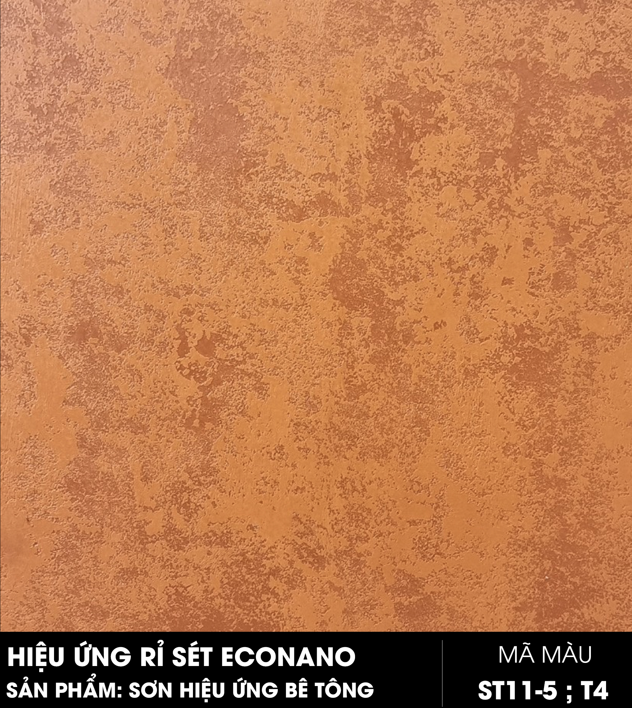 econano-st11-5-st-t4.jpg?v=1