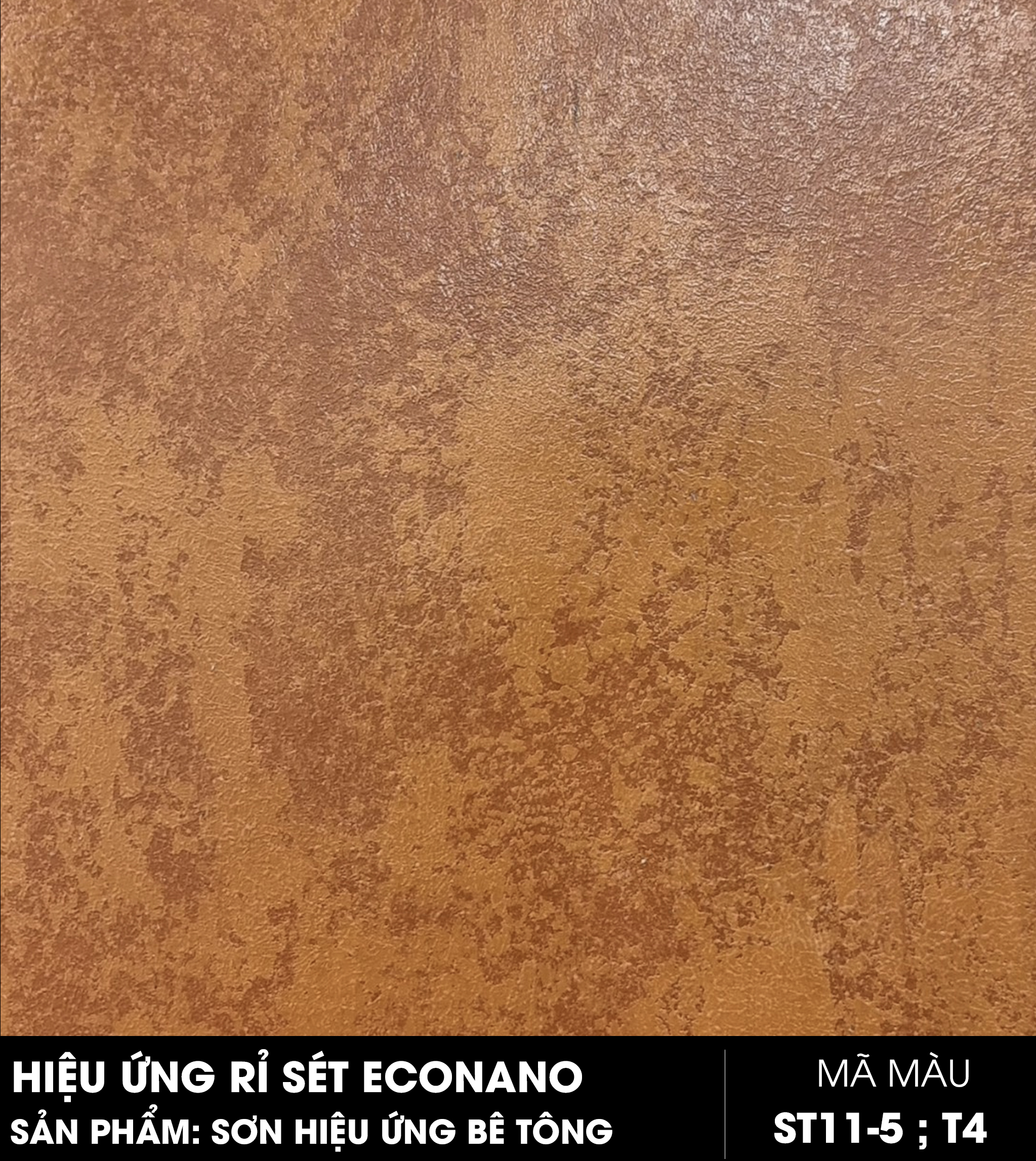 econano-st11-5-t4.jpg?v=1