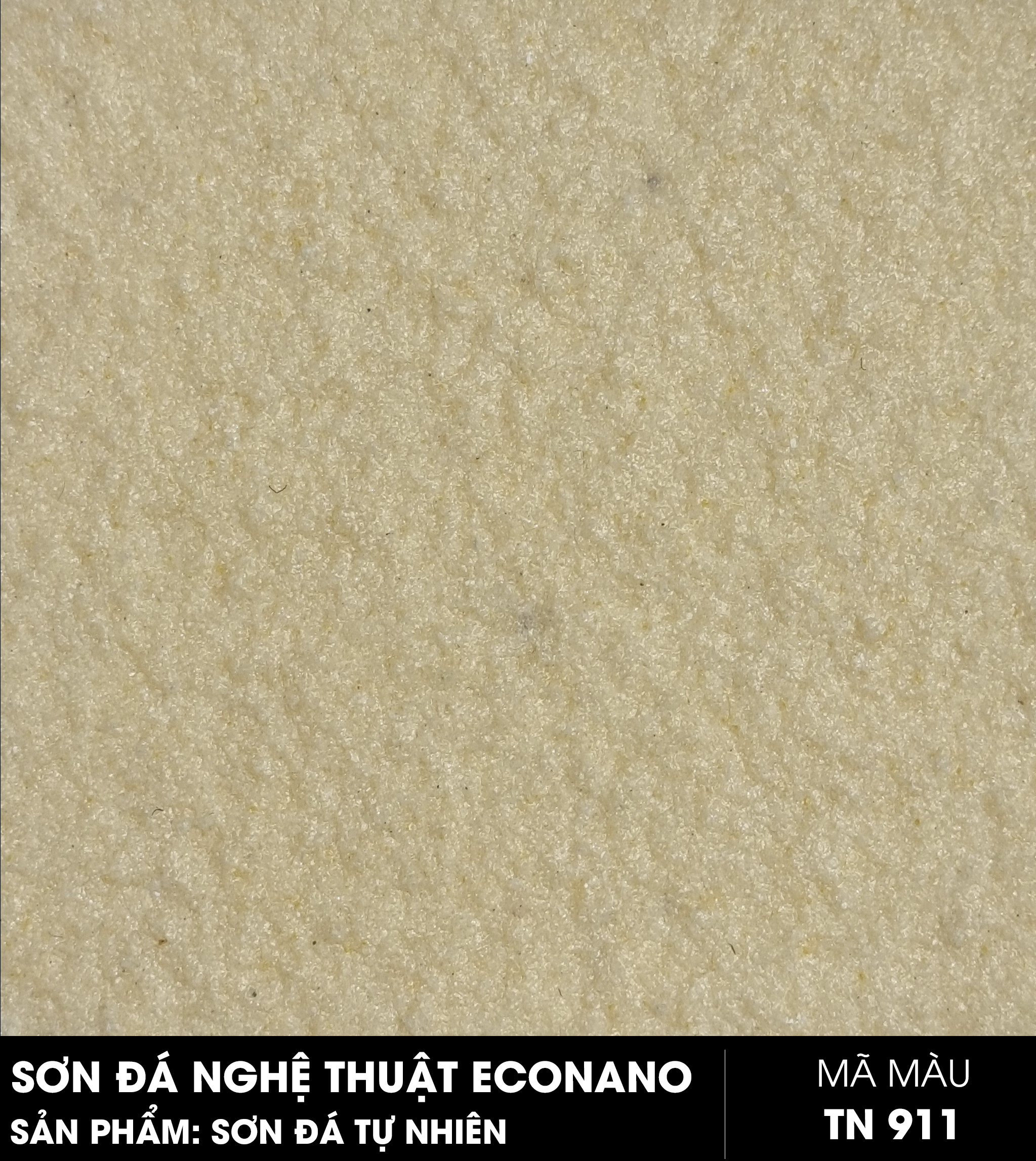 SƠN ĐÁ TỰ NHIÊN - MÃ MÀU TN911