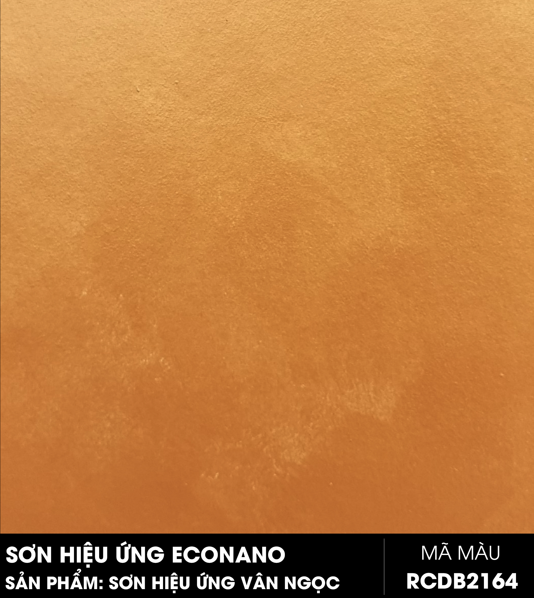 SƠN HIỆU ỨNG VÂN NGỌC - MÃ MÀU VNRCDB2164