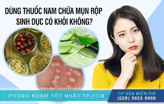 Liệu Thuốc Nam Trị Mụn Rộp Sinh Dục Có Khỏi Hoàn Toàn Không?