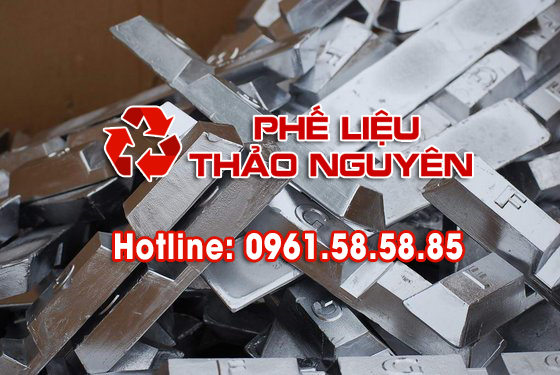 phie-lieu-chi-thao-nguyen.jpg?v=1768817764843