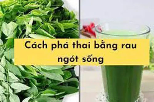 Cách phá thai nhanh nhất bằng rau ngót