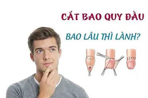 Cắt bao quy đầu bao lâu thì lành hẳn?