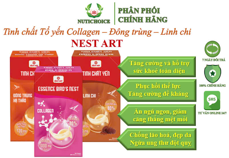 Tinh chất Tổ yến Collagen, Đông trùng hạ thảo, Linh chi Nest Art tăng cường sức khoẻ, chống lão hoá đẹp da, ngừa ung thư