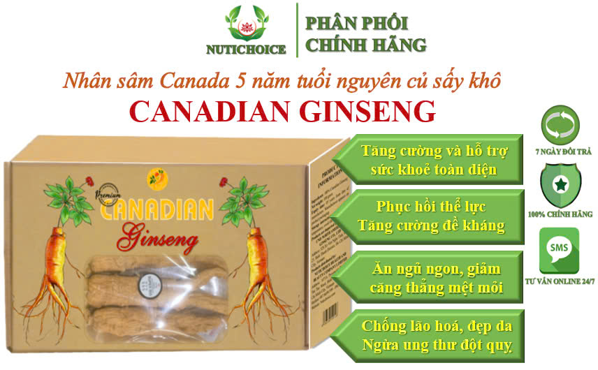 [Hộp 100g] Nhân sâm Canada 5 năm tuổi nguyên củ sấy khô Canadian Ginseng Premium (Tây dương sâm,sâm Bắc Mỹ,sâm Hoa Kỳ)