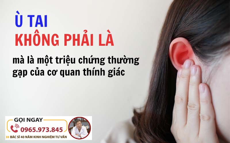 Cách chữa ù tai, Thuốc chữa ù tai hiệu quả nhanh nhất hiện nay