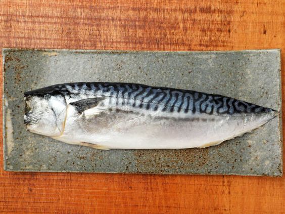 Cá saba Fillet Nhật Bản là cá gì?