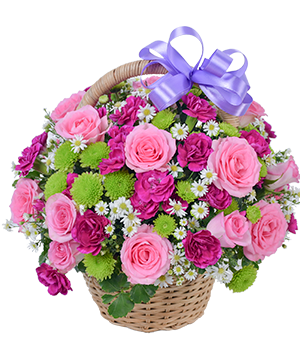  Giỏ hoa tươi Mắt Biếc