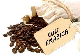 Cafe hạt Culi Arabica